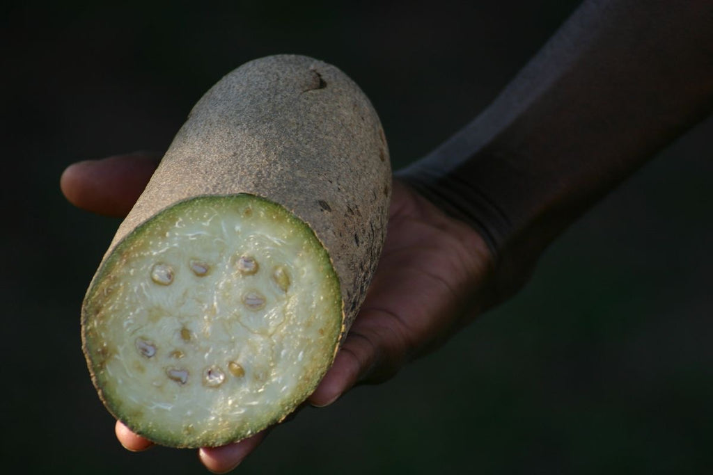 MARIS SPA – LEVIS - Emulsione Vellutante Tonificante 250ml